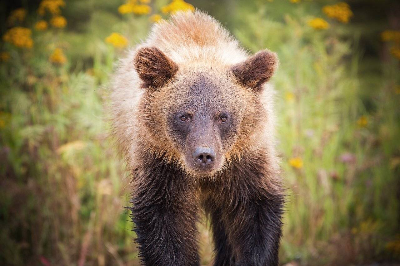 , Павел Глушков