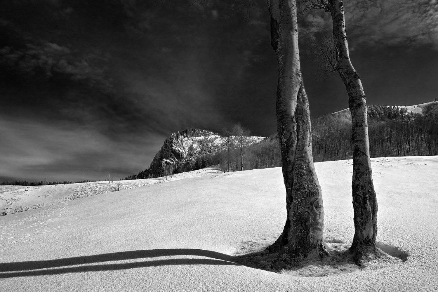 , zsolt andras szabo