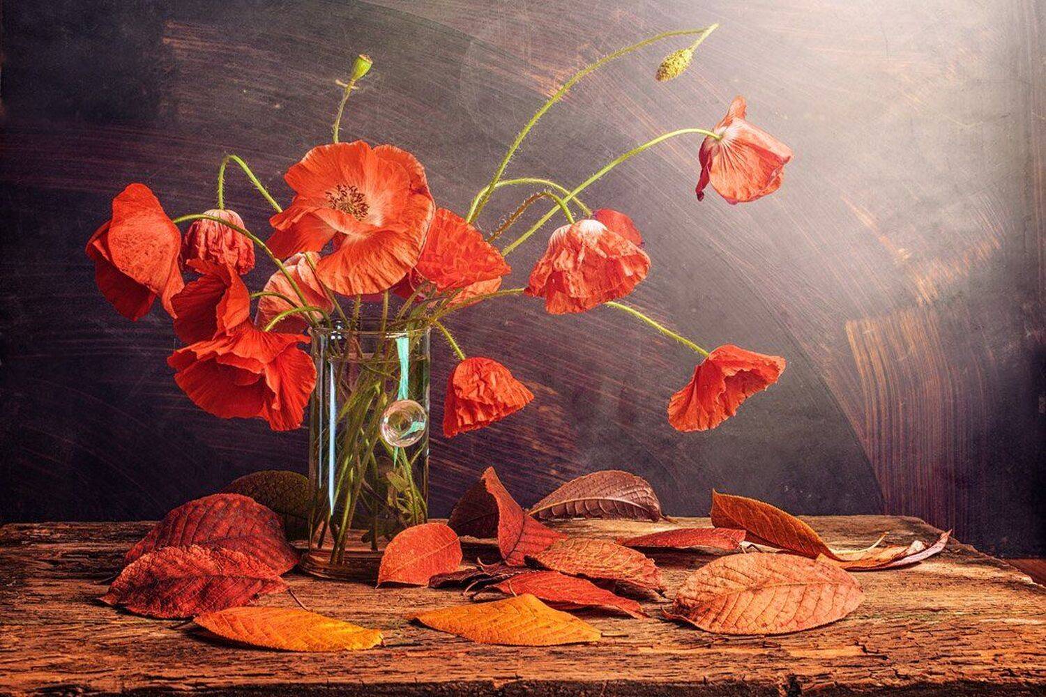 , Станислав Аристов