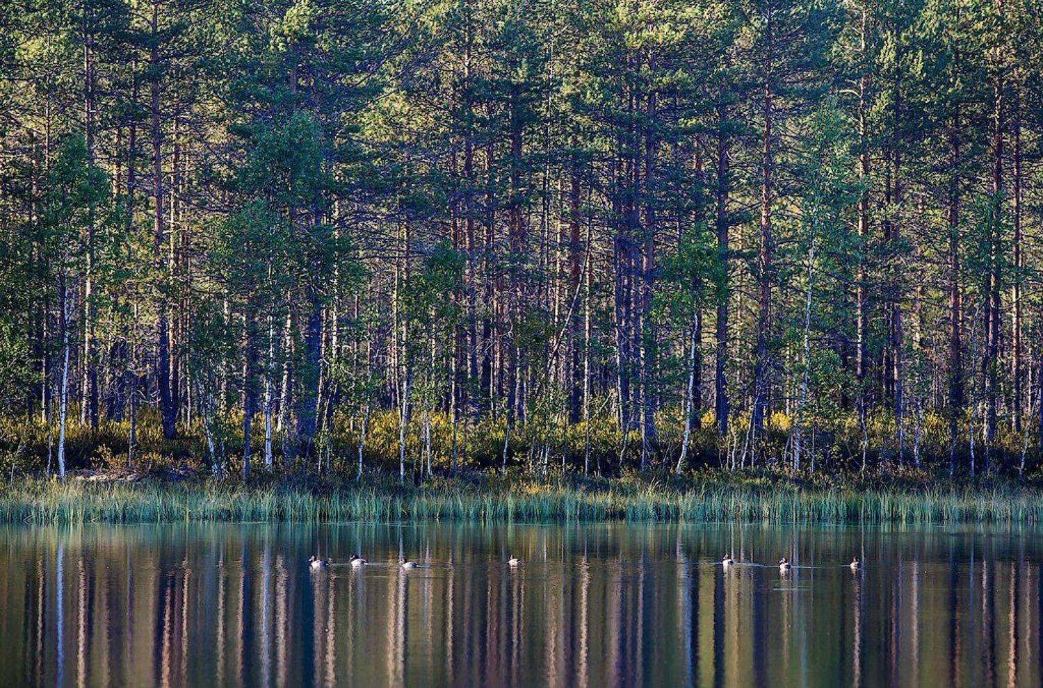 , Игорь Подгорный