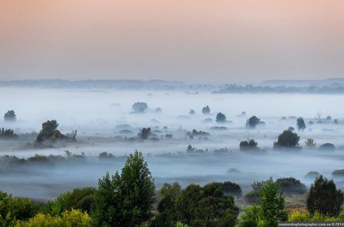 Дробышев. Туманное утро.