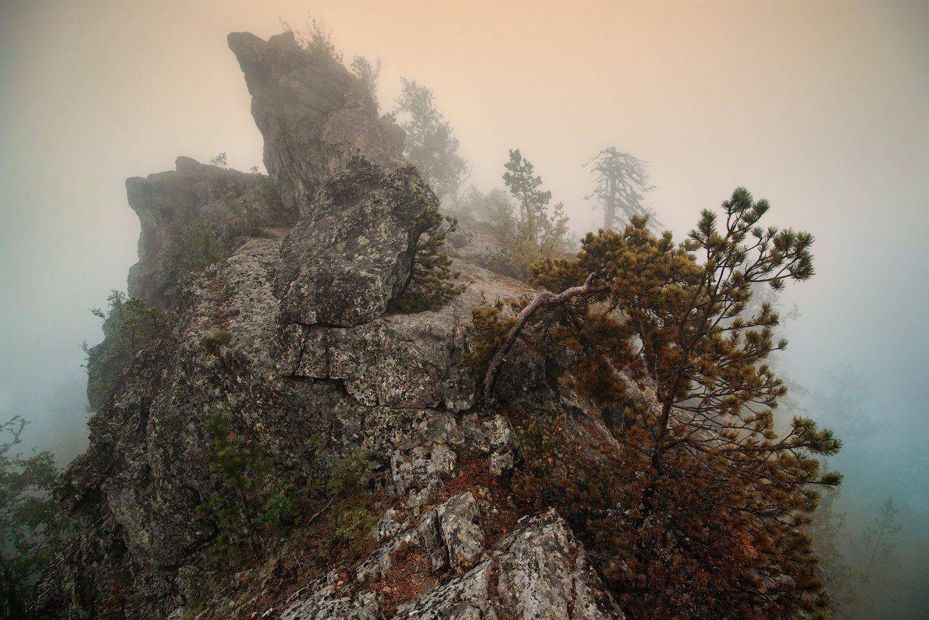 , Владимир Ляпин