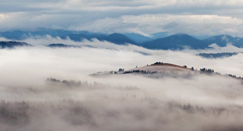 карпаты, украина, горы, туман, утро, рассвет ...Туманные берега... фото превью