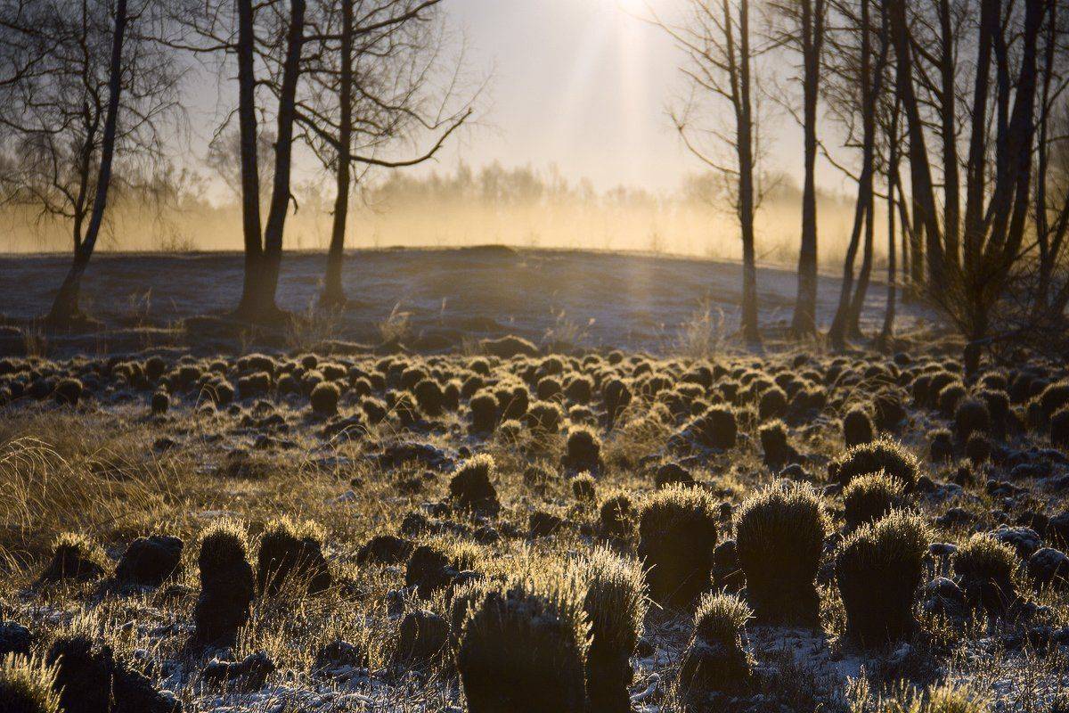 , Николай Морский