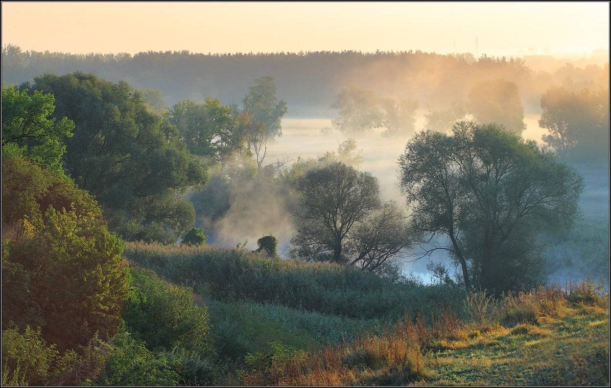 , Михаил (mgk)