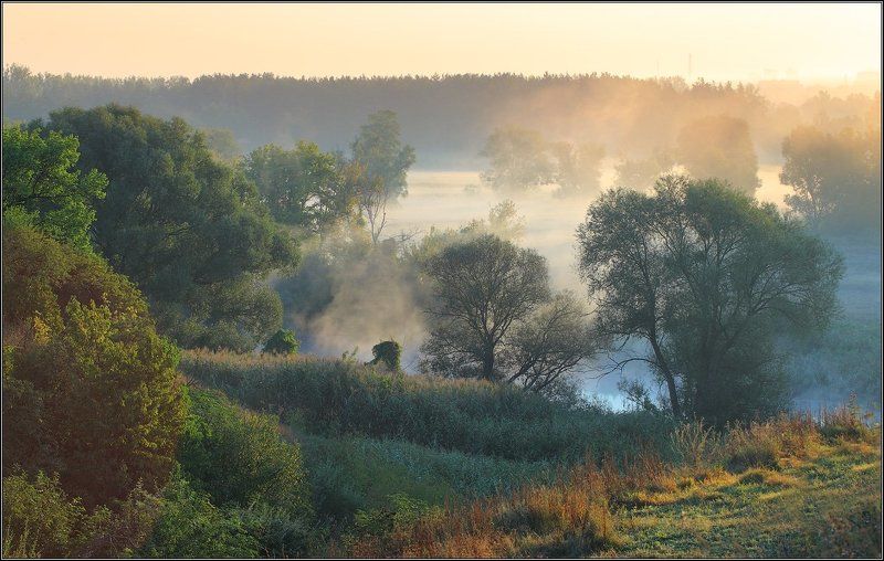 Крюковский заказник фото превью