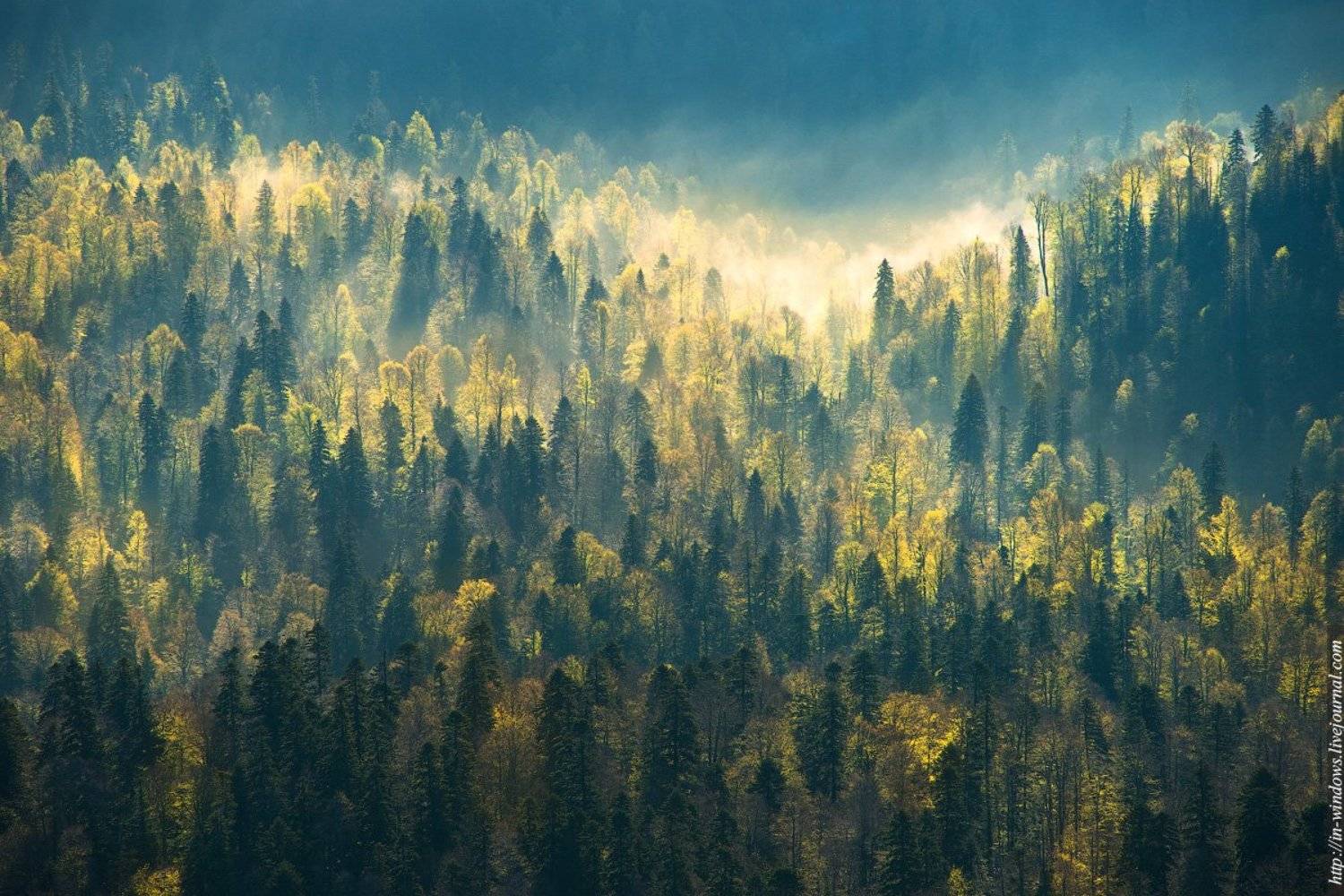 , Гусев Василий