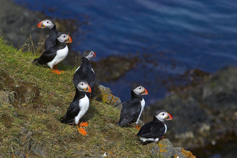 Исландия, Тупик Каждому фотографу по своему тупику !!! фото превью