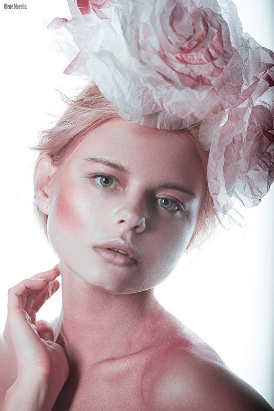 Flamingo фото превью