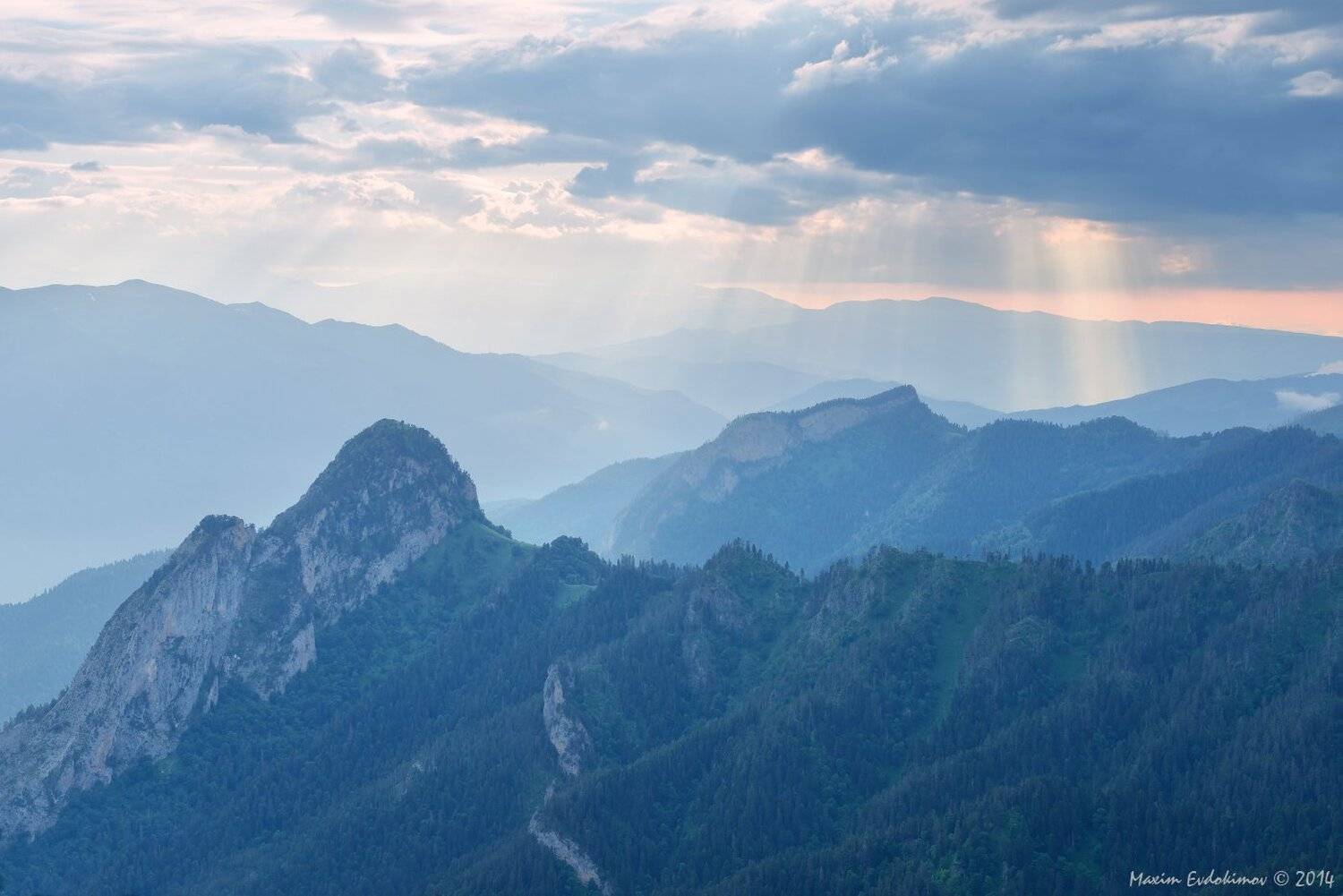 , Максим Евдокимов