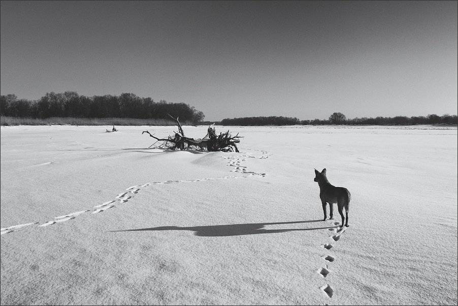 , Сергей Фудиненко