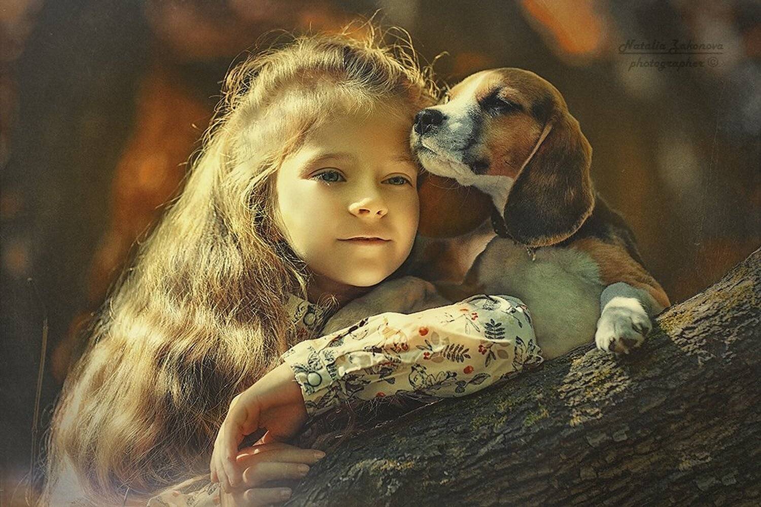 , Наталья Законова