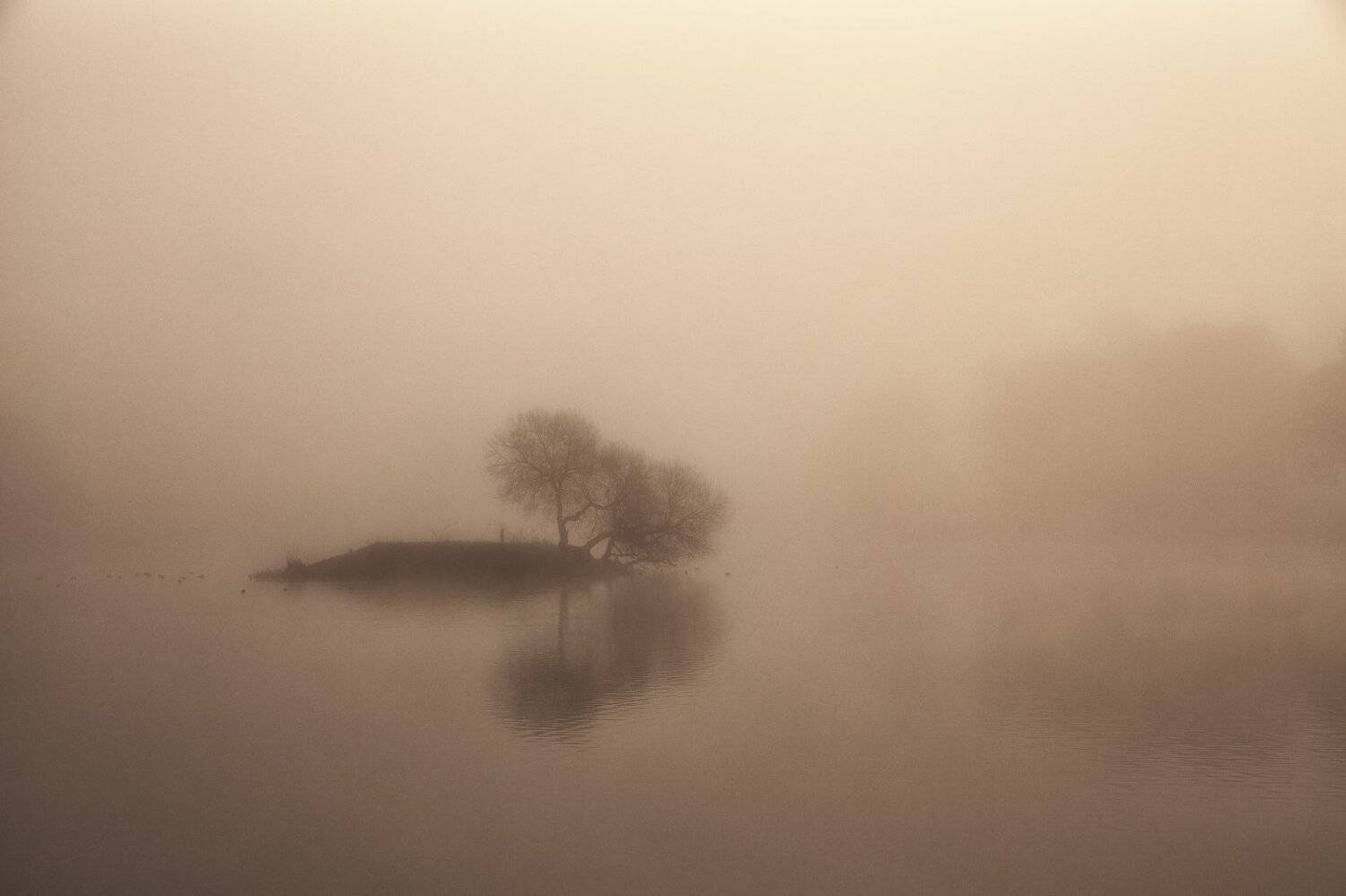 Беларусь, Ноябрь, Остров, Туман, Евгений Матюшенков