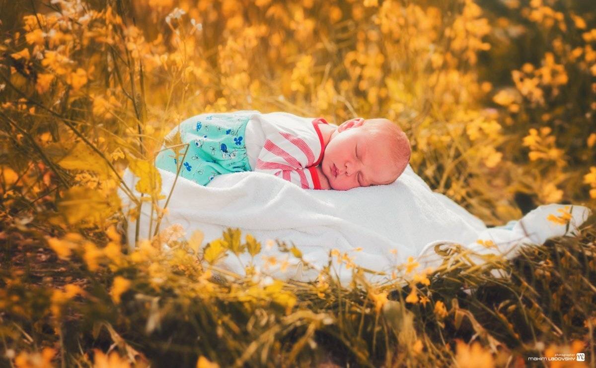 , Ладовский Максим