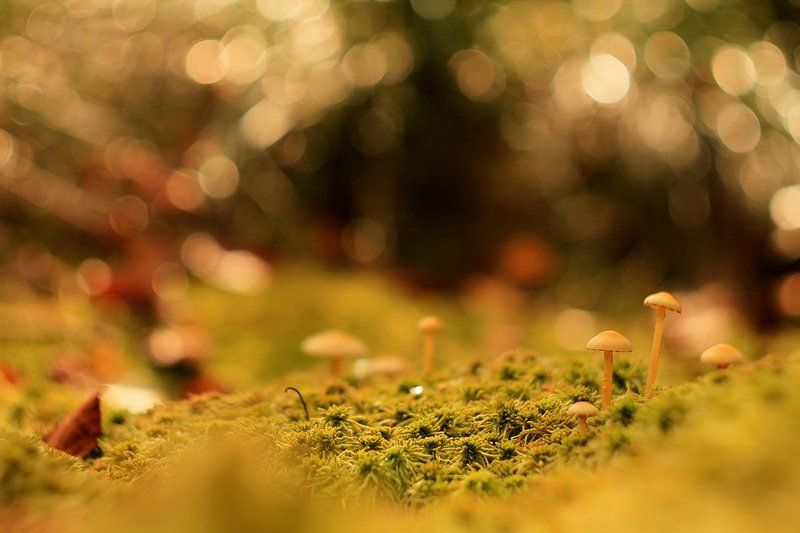 xxx фото превью