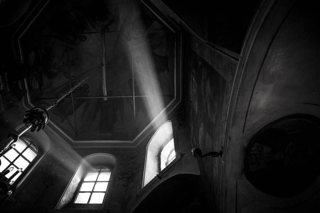, Svoboda Andreeva