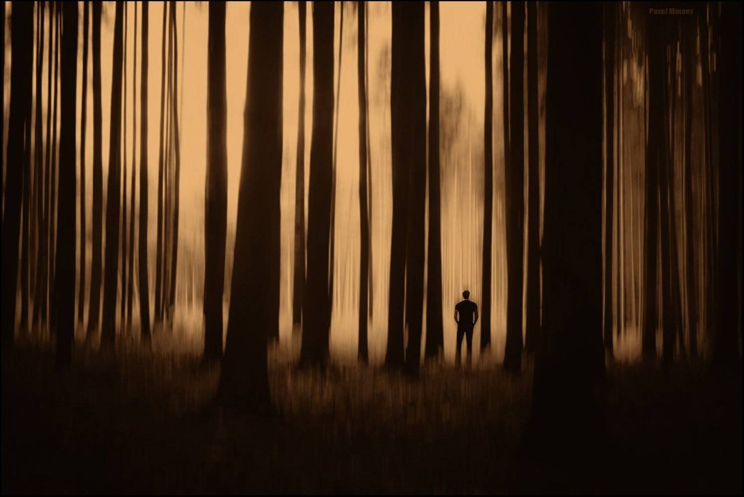 , Минаев Павел