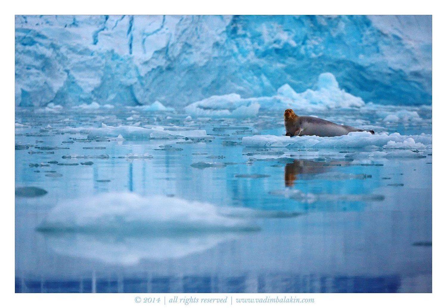 Норвегия, Шпицберген, Вадим Балакин