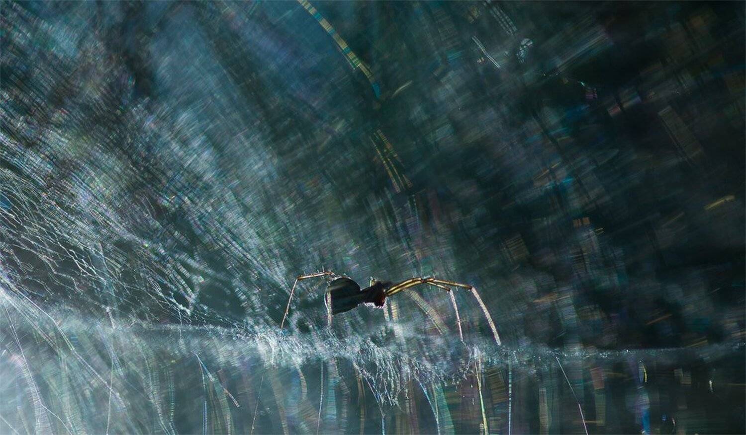 , Геннадий Мещеряков