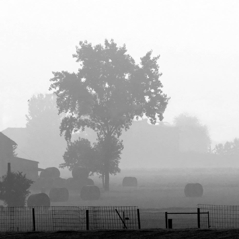 , Людмила Прокофьева