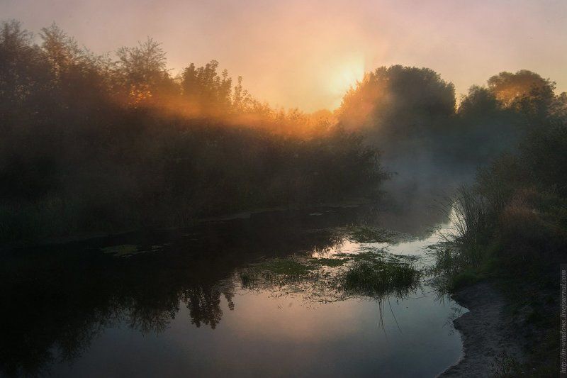 туманное утро фото превью