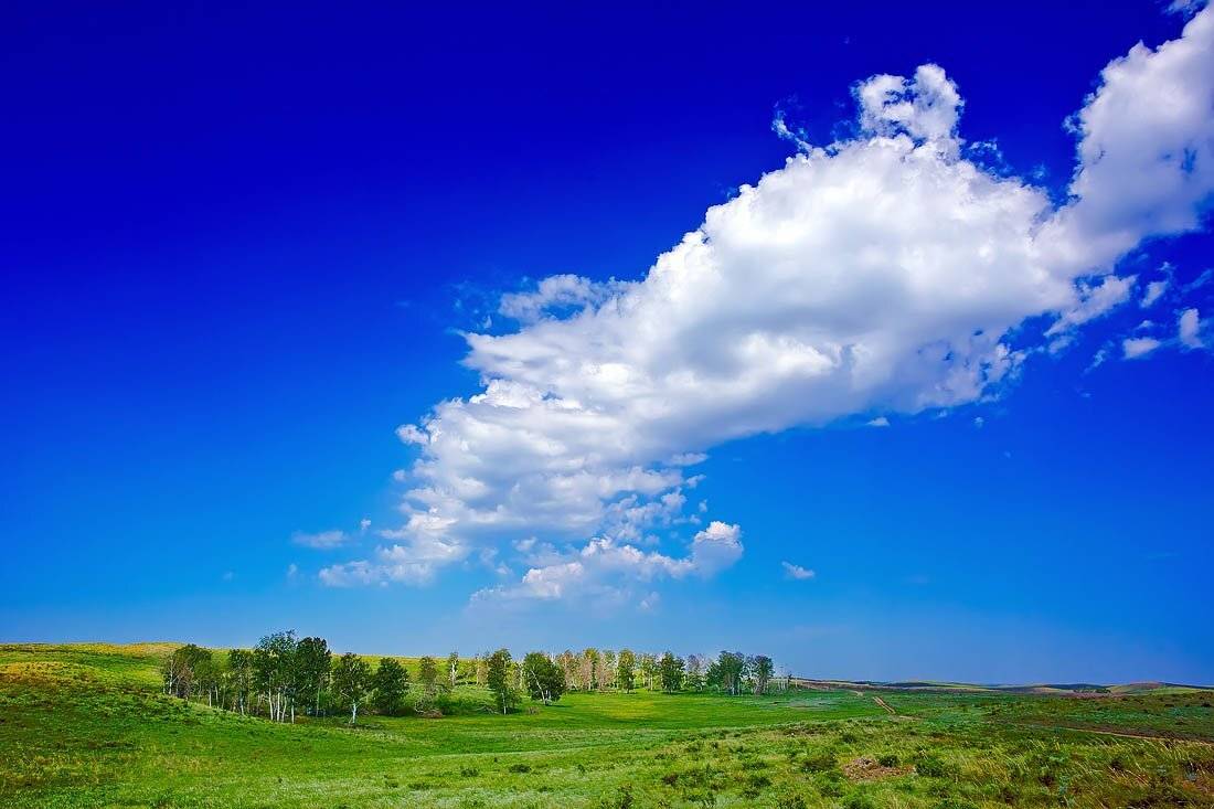 орск, губерля, степи,лето, Качурин Алексей