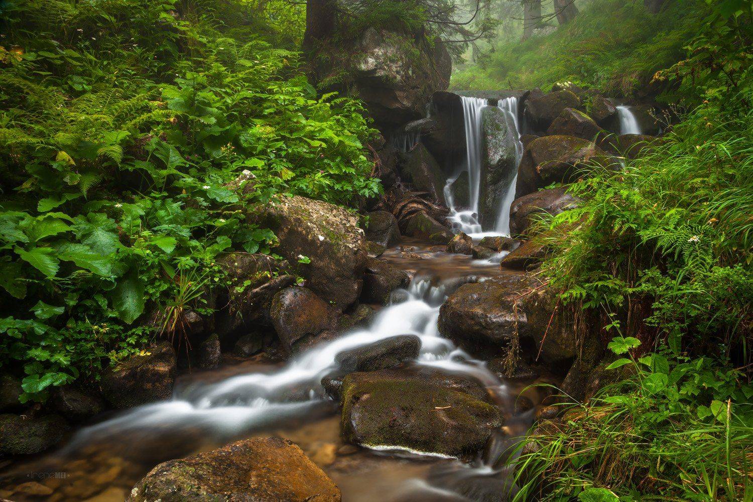 Вода, Горы, Камни, Карпаты, Природа, Ручей, Emyan