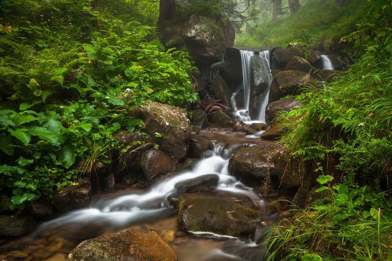 Вода, Горы, Камни, Карпаты, Природа, Ручей Энергия Воды фото превью