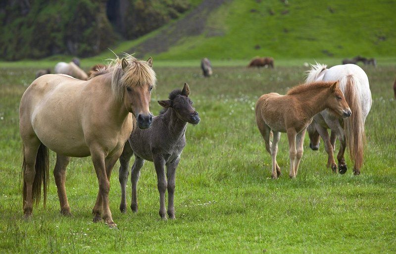Как же с мамой хорошо! фото превью