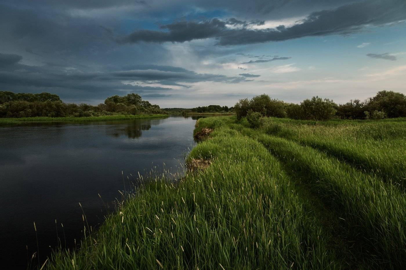 , Михаил Кушнер