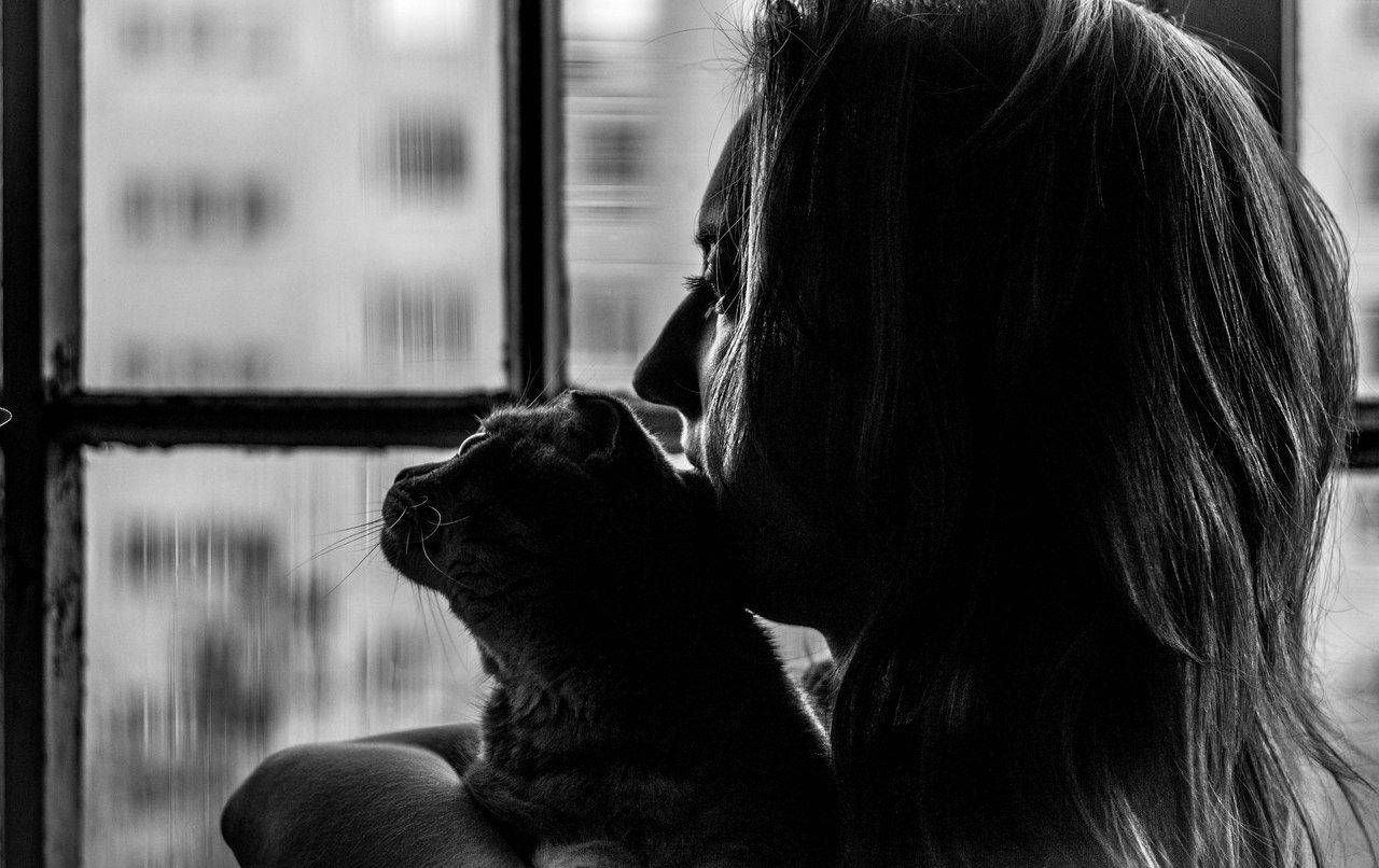 , Svoboda Andreeva