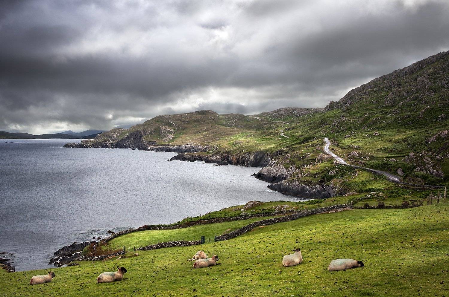 , Danny Vangenechten