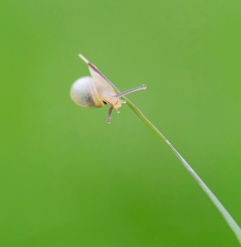 Э-ге-ге-еей…! фото превью