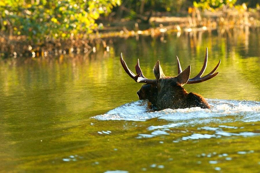 , Юрий Кулаков