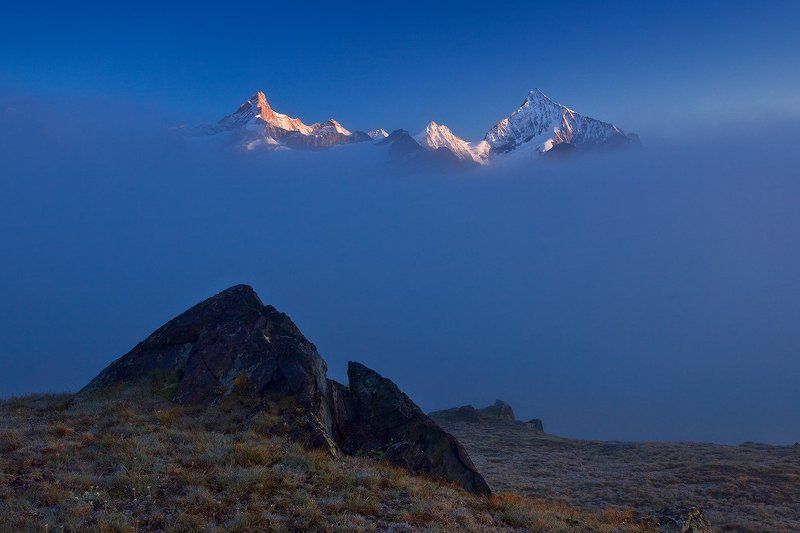 vision фото превью