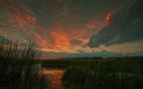 В плавнях шорох...