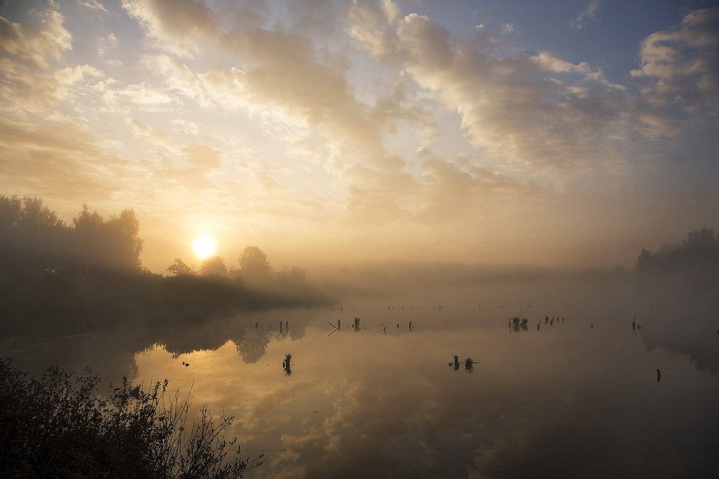 , Лобачева Елена