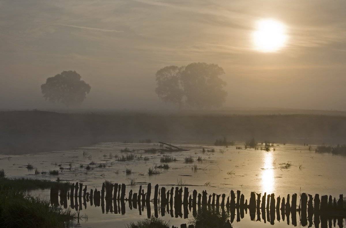 , Валерий Кондратов