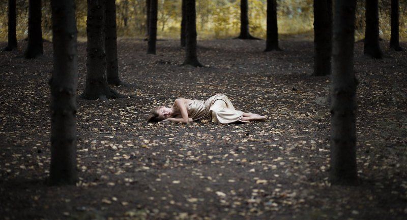 Sleeping in the woods фото превью