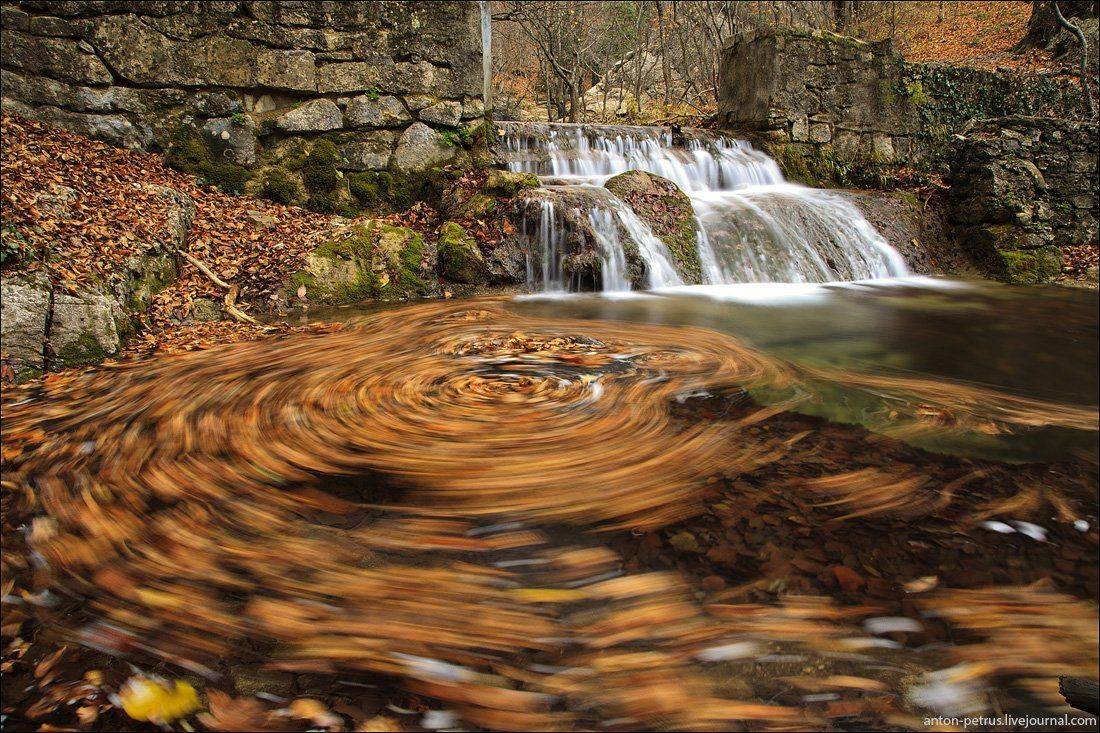 , Антон Петрусь