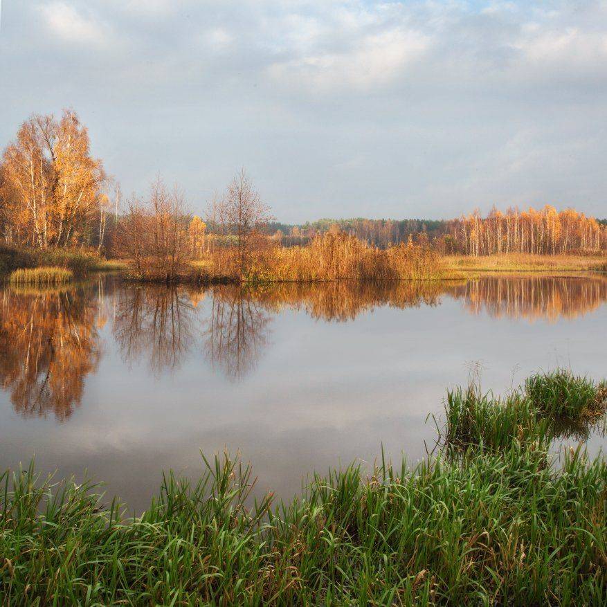 , Александр Удовиченко