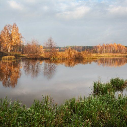 До золотой осени рукой подать