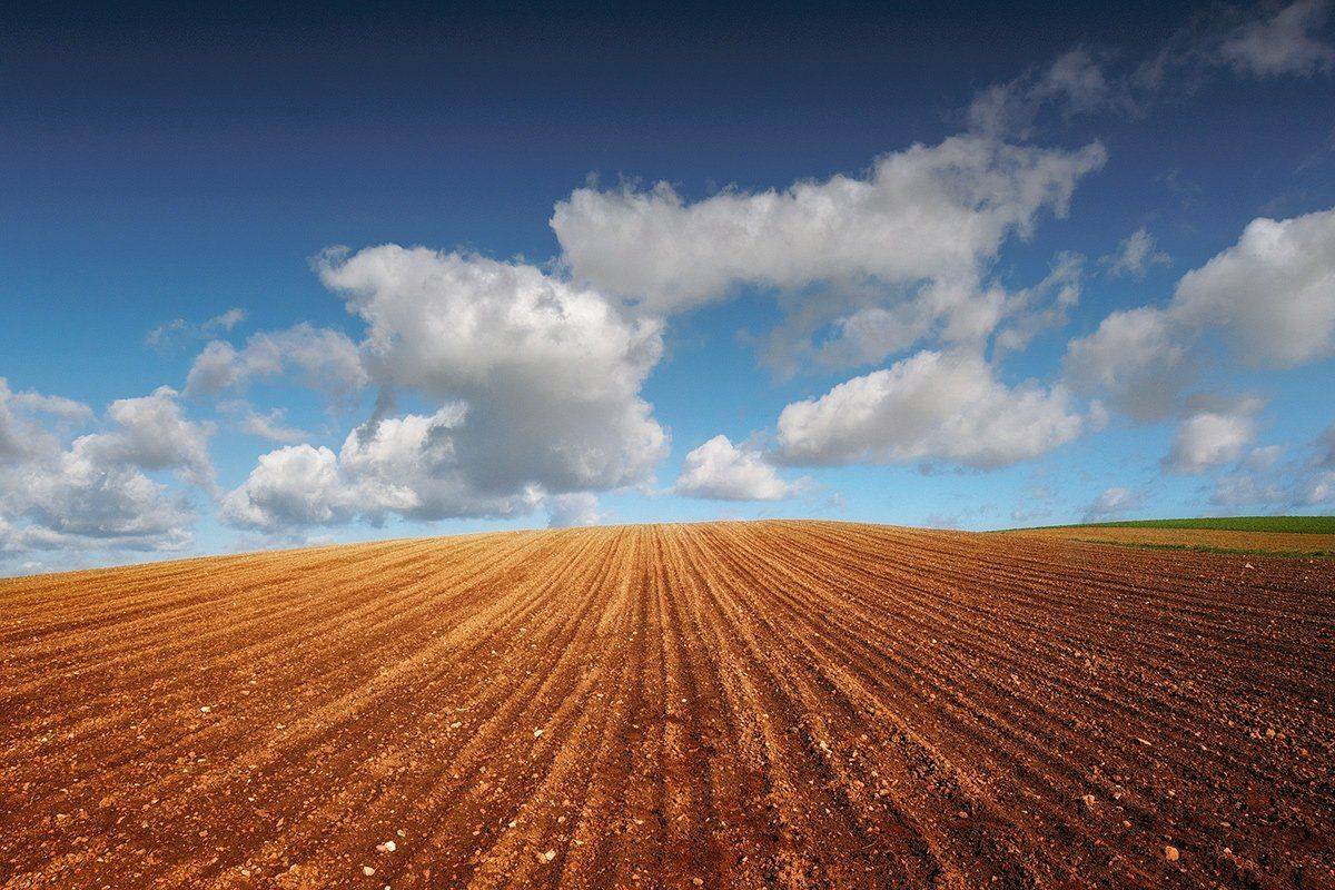 , Wojtek Kapuściński