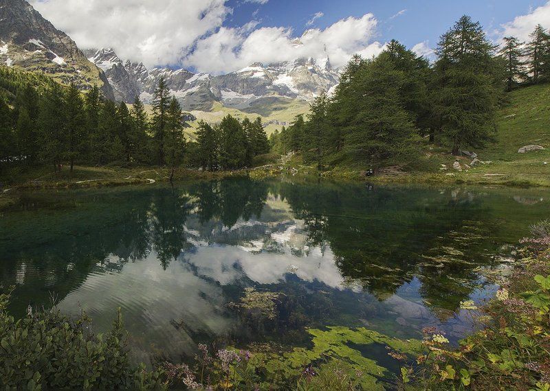 Chervinia фото превью