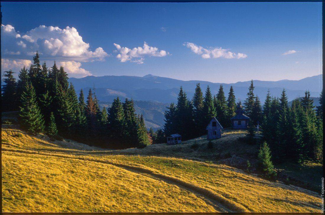 , Ярослав Тюрменко (Jaremi)