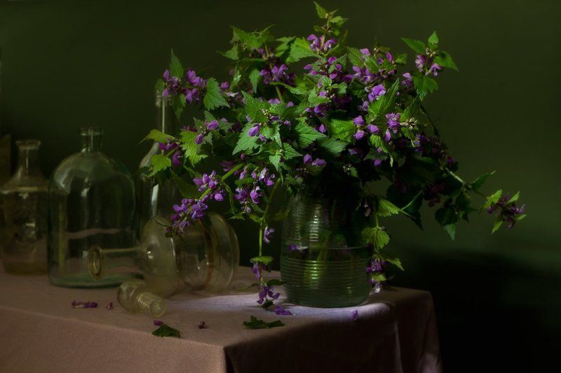 ***** фото превью