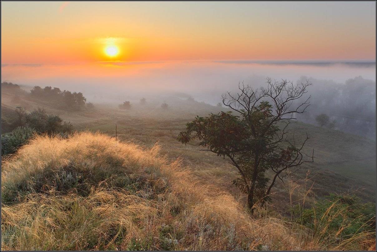 , Михаил (mgk)