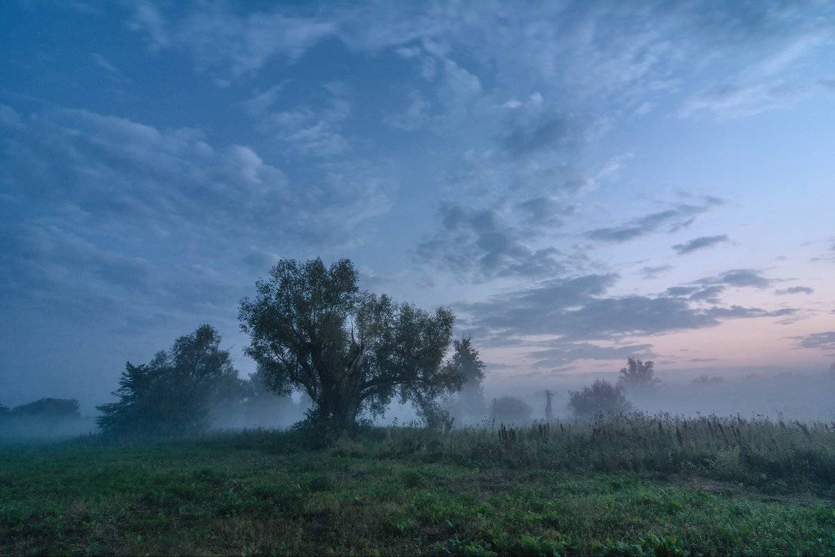 , Влад Шерман