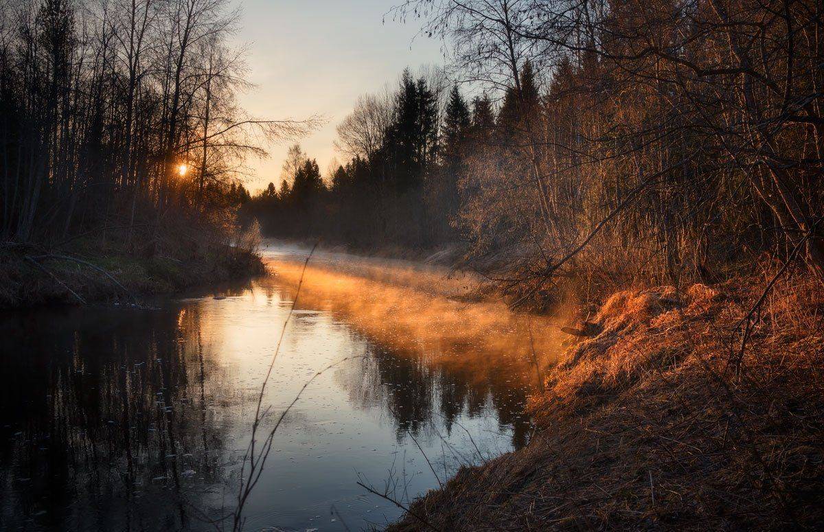, Хохряков Николай