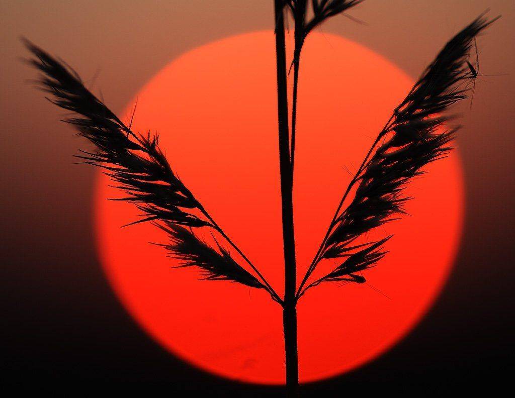 , Сергей Таланов